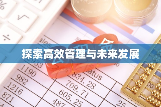 湖内探索高效管理与未来发展