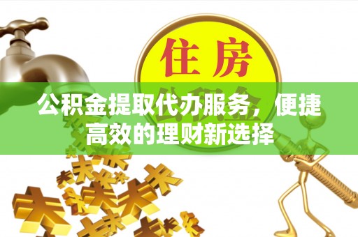 湖内公积金提取代办服务，便捷高效的理财新选择