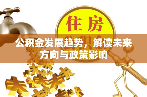 湖内公积金发展趋势，解读未来方向与政策影响