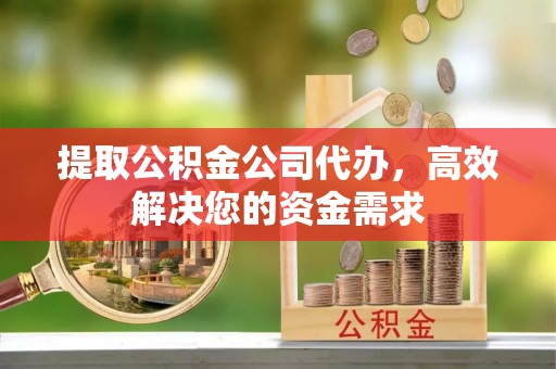 湖内提取公积金公司代办，高效解决您的资金需求