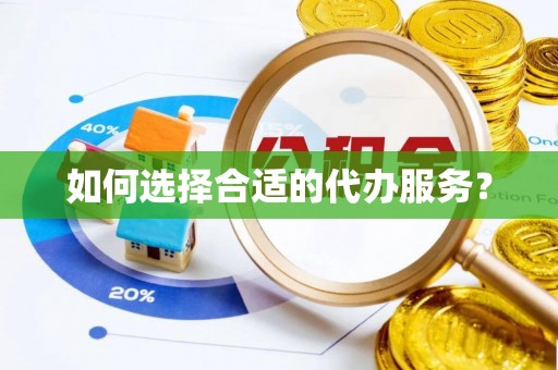 湖内如何选择合适的代办服务？