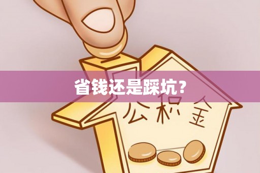 湖内省钱还是踩坑？