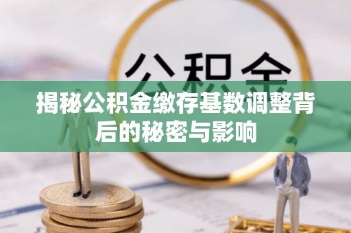 湖内揭秘公积金缴存基数调整背后的秘密与影响