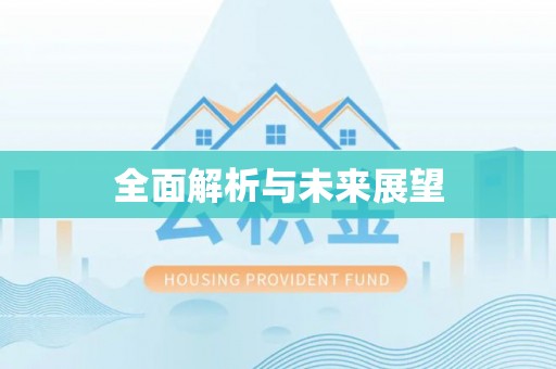 湖内全面解析与未来展望