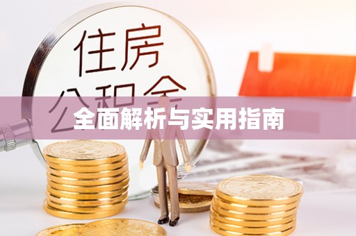 湖内全面解析与实用指南