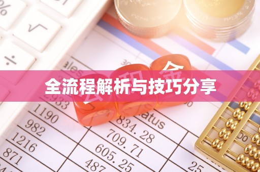 湖内全流程解析与技巧分享