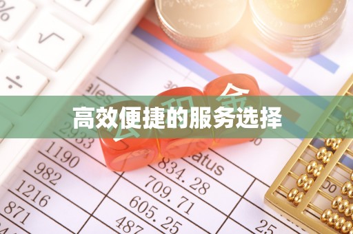湖内高效便捷的服务选择